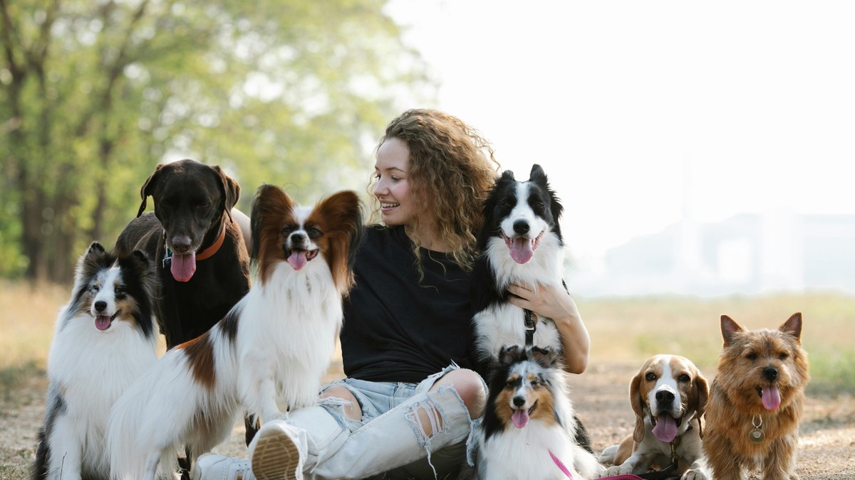 How to Choose a Dog Breed: The Ultimate Guide