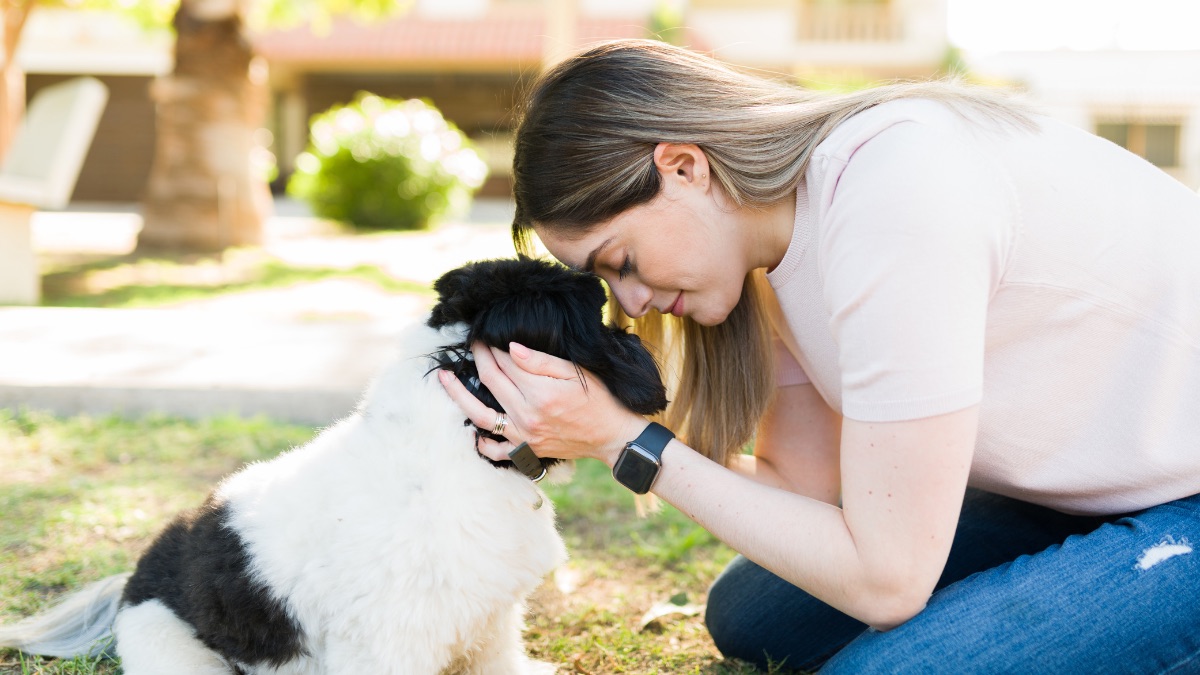 11 Signs Your Dog Is Bonded to You - And What They Mean